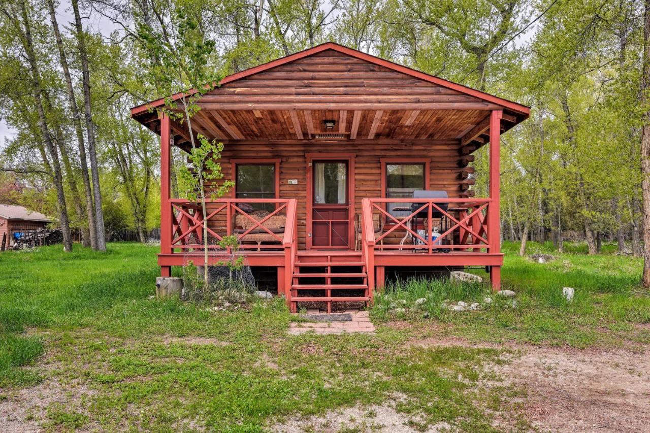 Cozy Colorado Cabin With Deck, Grill And River Access! Buena Vista Exterior photo
