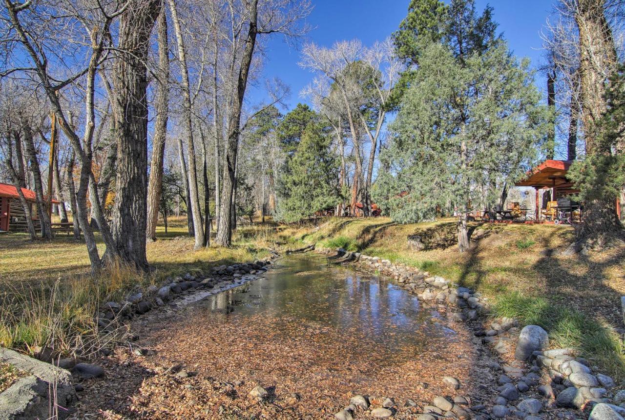 Cozy Colorado Cabin With Deck, Grill And River Access! Buena Vista Exterior photo